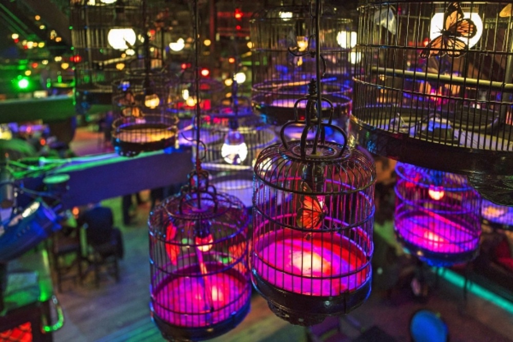 Custom Made Bird Cage - Pendant Lights